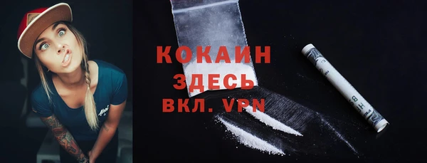 индика Алексин