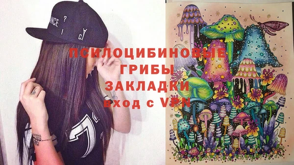 индика Алексин