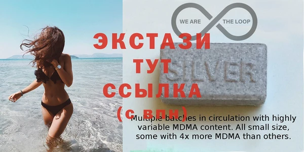 индика Алексин
